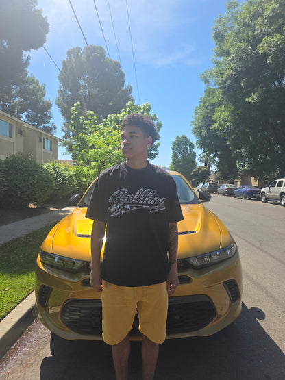 V1⭐️